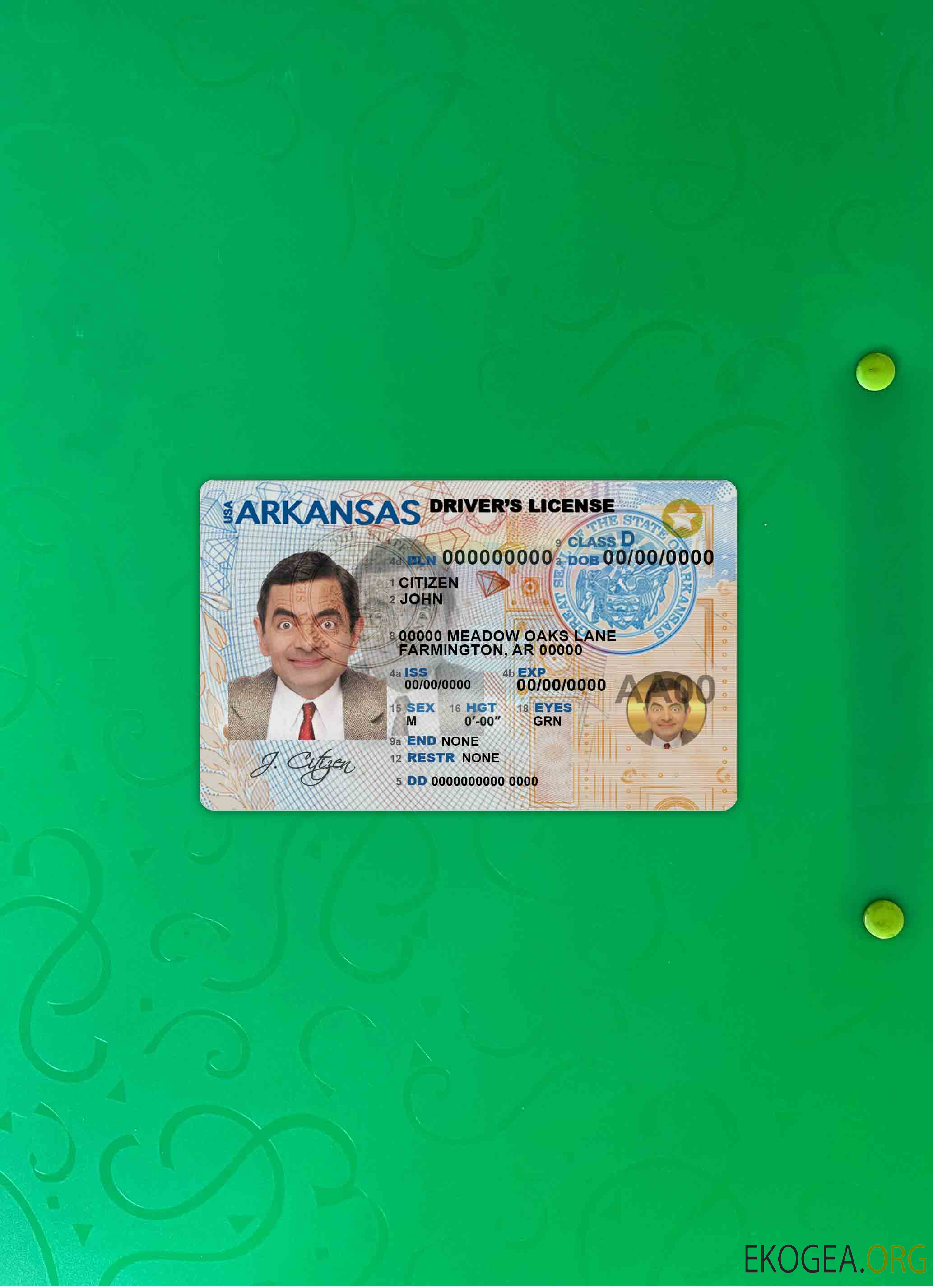 USA Arkansas DL photolook AVANT